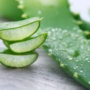 فواید استفاده از گیاه آلوئه ورا